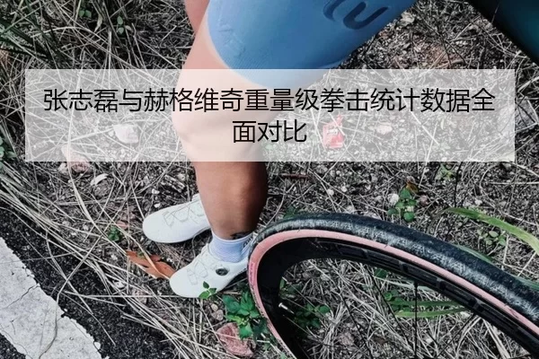 张志磊与赫格维奇重量级拳击统计数据全面对比